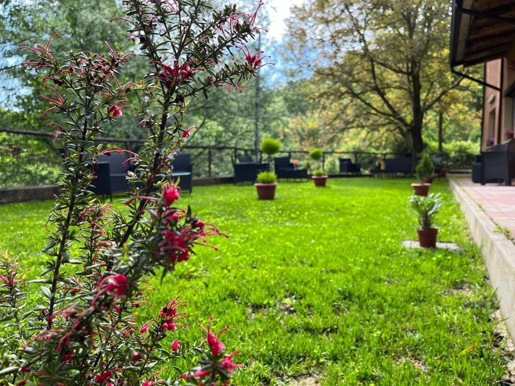 Agriturismo Tre Elle Acri Bagian luar foto